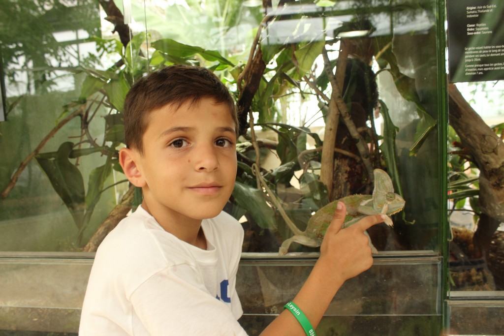 Village Camps International Summer Camp Leysin, Switzerland 2026-08-15 https://www.villagecamps.com/journals_admin/images/1790-1420-IMG_8041.jpg