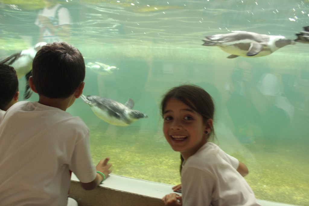 Village Camps International Summer Camp Leysin, Switzerland 2025-08-09 https://www.villagecamps.com/journals_admin/images/1790-1427-IMG_8081.jpg