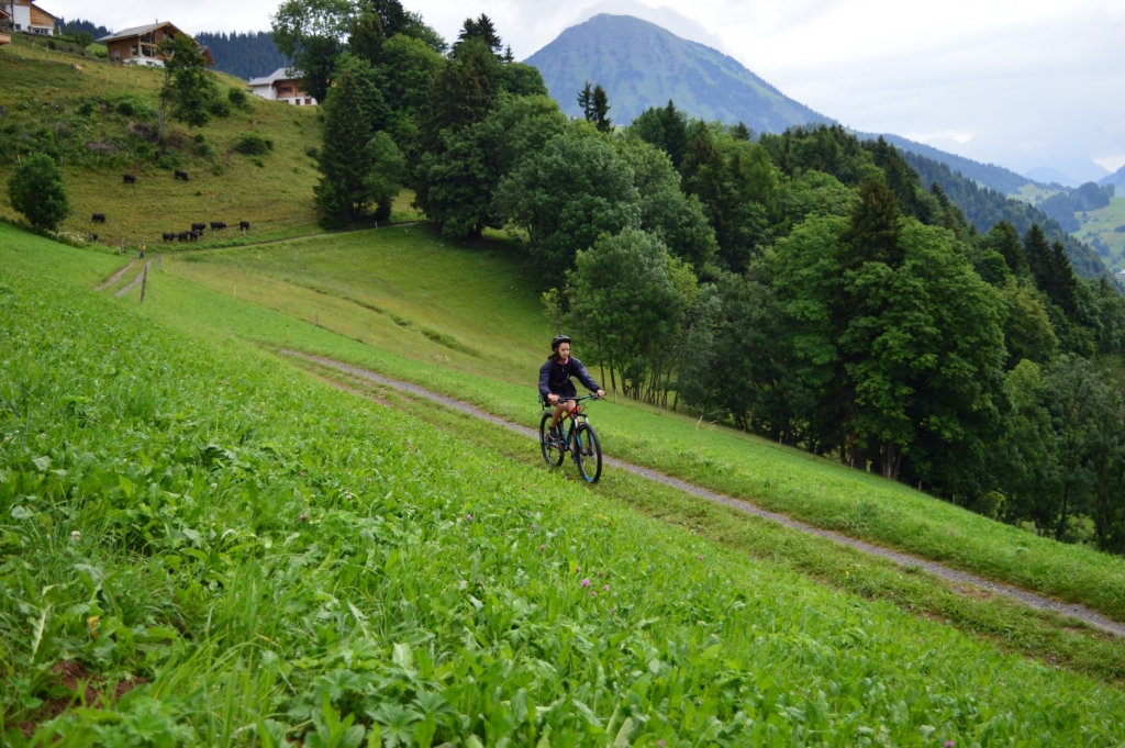 Village Camps International Summer Camp Leysin, Switzerland 2025-08-09 https://www.villagecamps.com/journals_admin/images/1791-0322-DSC_2079.jpg