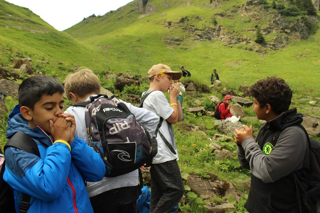 Village Camps International Summer Camp Leysin, Switzerland 2025-08-09 https://www.villagecamps.com/journals_admin/images/1792-6823-IMG_8448.jpg Village Camps International Summer Camp Leysin, Switzerland 2025-08-09 https://www.villagecamps.com/journals_admin/images/1792-6823-IMG_8448.jpg