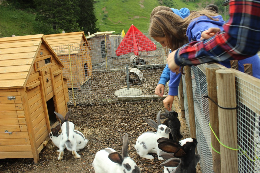Village Camps International Summer Camp Leysin, Switzerland 2025-08-09 https://www.villagecamps.com/journals_admin/images/1792-6881-IMG_8870.jpg