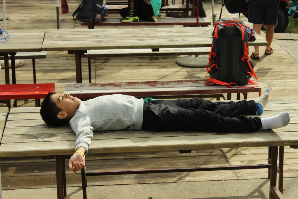 Village Camps International Summer Camp Leysin, Switzerland 2025-08-09 https://www.villagecamps.com/journals_admin/images/1792-6900-IMG_8979.jpg Village Camps International Summer Camp Leysin, Switzerland 2025-08-09 https://www.villagecamps.com/journals_admin/images/1792-6900-IMG_8979.jpg
