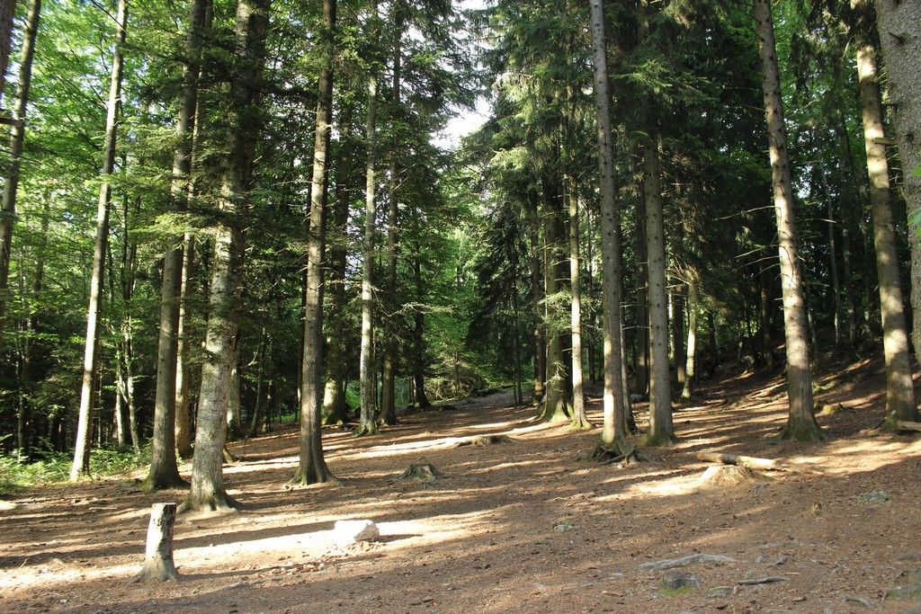 Village Camps International Summer Camp Leysin, Switzerland 2026-08-15 https://www.villagecamps.com/journals_admin/images/1793-0366-IMG_9428.jpg Village Camps International Summer Camp Leysin, Switzerland 2026-08-15 https://www.villagecamps.com/journals_admin/images/1793-0366-IMG_9428.jpg