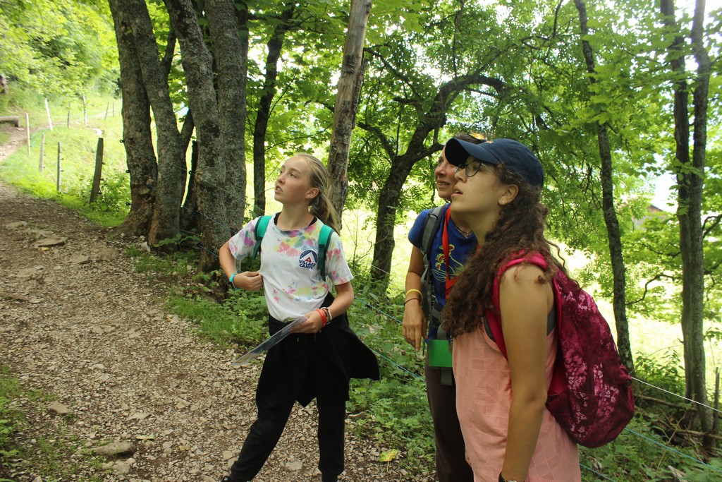 Village Camps International Summer Camp Leysin, Switzerland 2025-08-09 https://www.villagecamps.com/journals_admin/images/1793-0450-IMG_9161.jpg