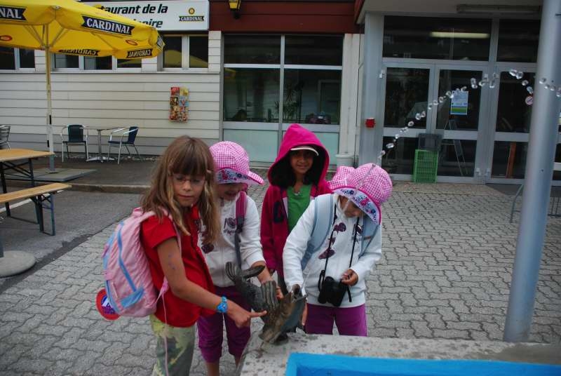 Village Camps International Summer Camp Leysin, Switzerland 2025-08-09 https://www.villagecamps.com/journals_admin/images/186-34-DSC_6842.jpg