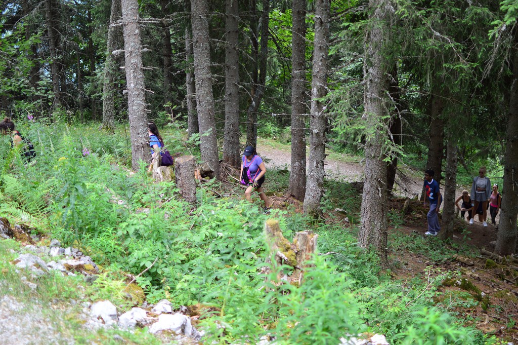 Village Camps International Summer Camp Leysin, Switzerland 2025-08-09 https://www.villagecamps.com/journals_admin/images/1884-4795-DSC_6634.jpg