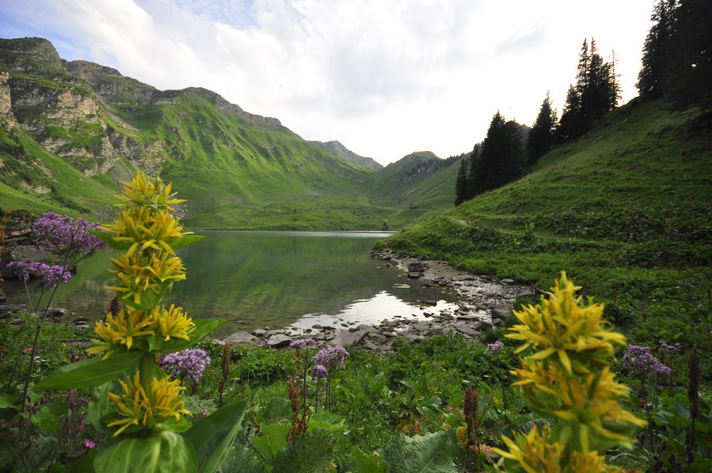 Village Camps International Summer Camp Leysin, Switzerland 2026-08-15 https://www.villagecamps.com/journals_admin/images/1885-9675-_DSC1104.jpg Village Camps International Summer Camp Leysin, Switzerland 2026-08-15 https://www.villagecamps.com/journals_admin/images/1885-9675-_DSC1104.jpg