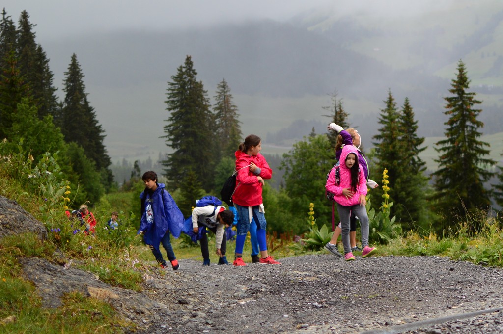 Village Camps International Summer Camp Leysin, Switzerland 2026-07-26 https://www.villagecamps.com/journals_admin/images/1890-9153-DSC_8755.jpg