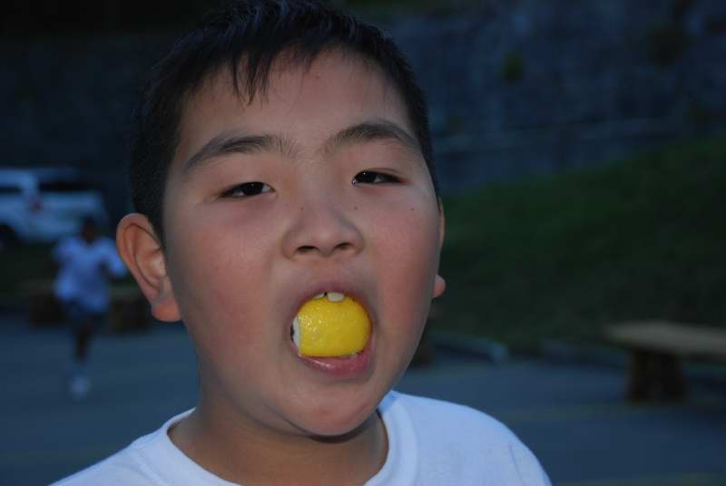 Village Camps International Summer Camp Leysin, Switzerland 2025-08-09 https://www.villagecamps.com/journals_admin/images/193-34-DSC_7715.jpg