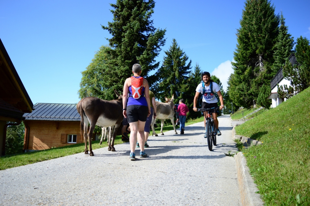 Village Camps International Summer Camp Leysin, Switzerland 2026-08-15 https://www.villagecamps.com/journals_admin/images/1931-9306-DSC_5369.jpg Village Camps International Summer Camp Leysin, Switzerland 2026-08-15 https://www.villagecamps.com/journals_admin/images/1931-9306-DSC_5369.jpg