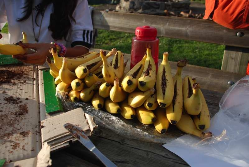 Village Camps International Summer Camp Leysin, Switzerland 2025-08-09 https://www.villagecamps.com/journals_admin/images/196-14-DSC_8263.jpg