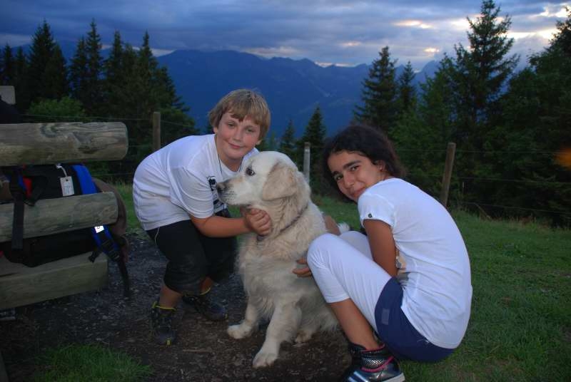 Village Camps International Summer Camp Leysin, Switzerland 2026-08-15 https://www.villagecamps.com/journals_admin/images/196-14-DSC_8284.jpg