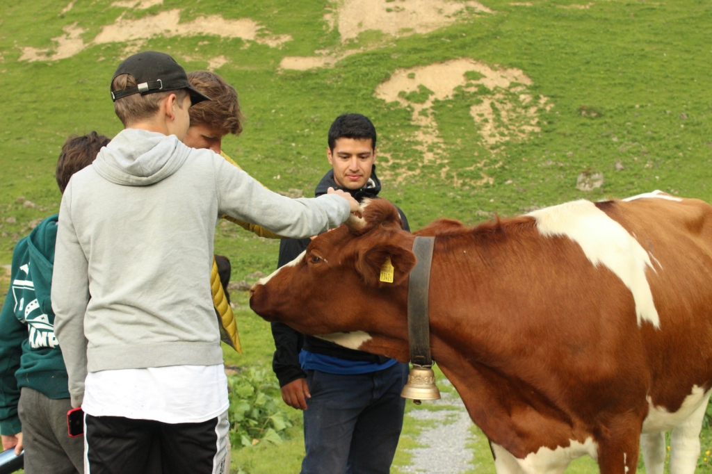 Village Camps International Summer Camp Leysin, Switzerland 2026-08-15 https://www.villagecamps.com/journals_admin/images/1980-0380-IMG_5065.jpg Village Camps International Summer Camp Leysin, Switzerland 2026-08-15 https://www.villagecamps.com/journals_admin/images/1980-0380-IMG_5065.jpg