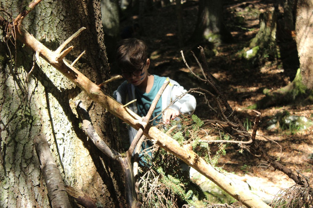 Village Camps International Summer Camp Leysin, Switzerland 2025-08-09 https://www.villagecamps.com/journals_admin/images/1986-7149-IMG_8687.jpg