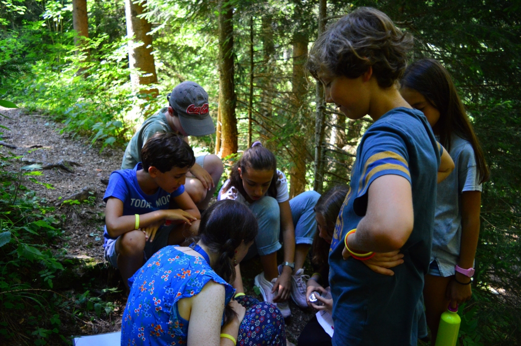 Village Camps International Summer Camp Leysin, Switzerland 2025-08-09 https://www.villagecamps.com/journals_admin/images/2063-2817-DSC_2305.jpg Village Camps International Summer Camp Leysin, Switzerland 2025-08-09 https://www.villagecamps.com/journals_admin/images/2063-2817-DSC_2305.jpg