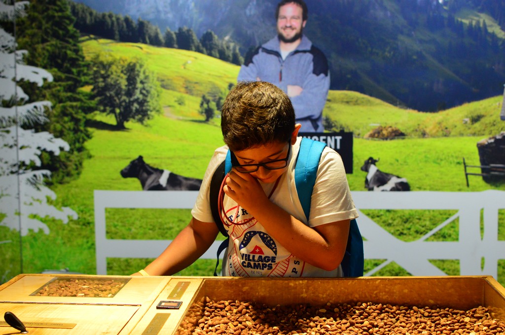 Village Camps International Summer Camp Leysin, Switzerland 2025-08-09 https://www.villagecamps.com/journals_admin/images/2107-7526-DSC_7853.jpg