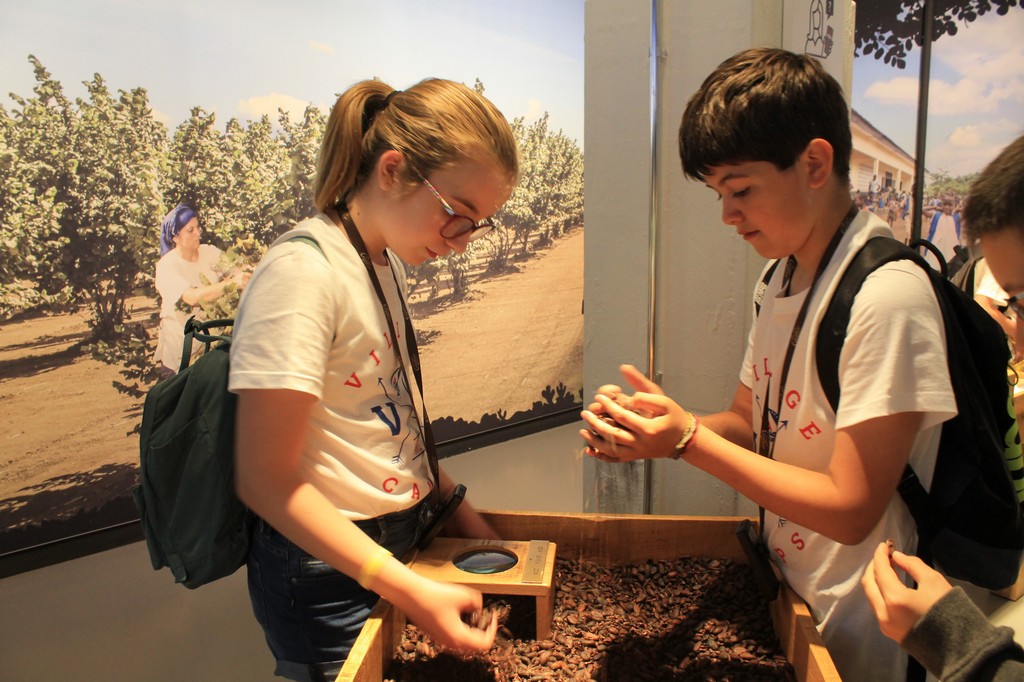 Village Camps International Summer Camp Leysin, Switzerland 2025-08-09 https://www.villagecamps.com/journals_admin/images/2202-6751-IMG_8657.jpg