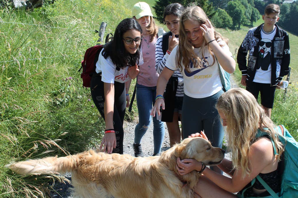 Village Camps International Summer Camp Leysin, Switzerland 2026-08-15 https://www.villagecamps.com/journals_admin/images/2206-1153-IMG_0046.jpg Village Camps International Summer Camp Leysin, Switzerland 2026-08-15 https://www.villagecamps.com/journals_admin/images/2206-1153-IMG_0046.jpg