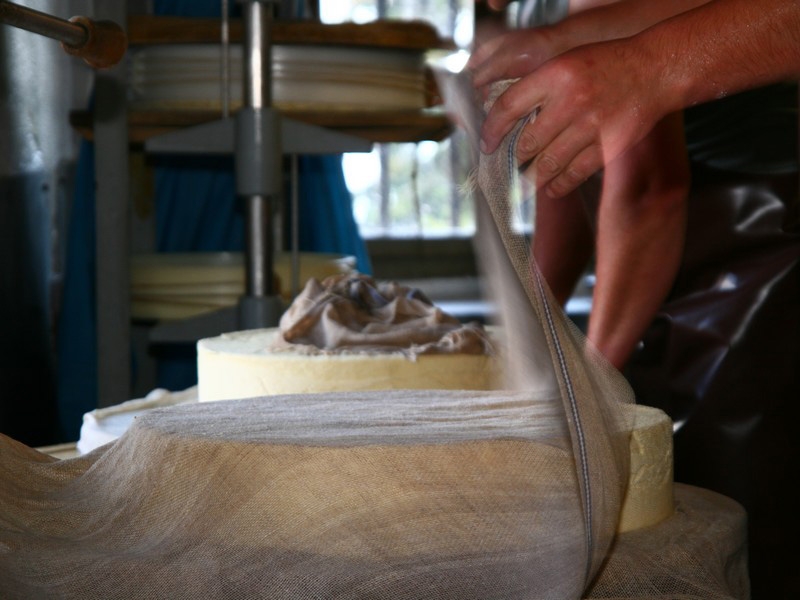 Village Camps International Summer Camp Leysin, Switzerland 2025-08-09 https://www.villagecamps.com/journals_admin/images/222-16-IMG_7819.jpg