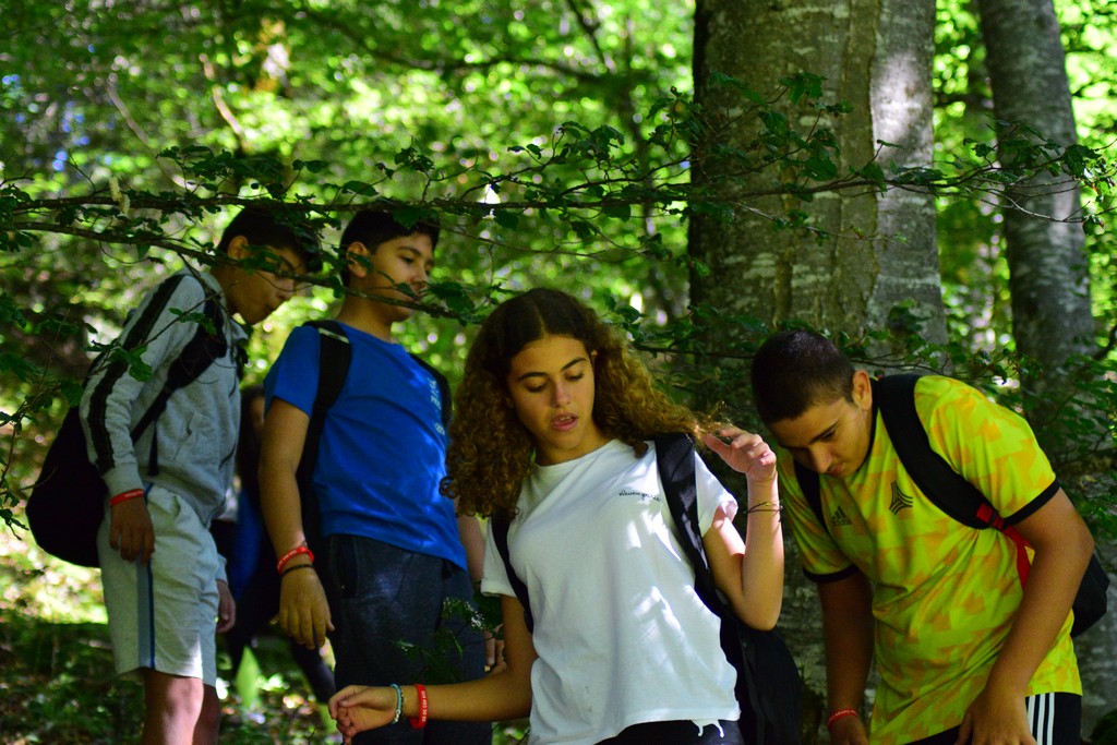 Village Camps International Summer Camp Leysin, Switzerland 2025-08-09 https://www.villagecamps.com/journals_admin/images/2297-7996-DSC_6632.jpg