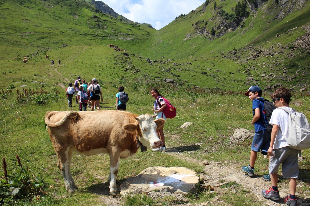 Village Camps International Summer Camp Leysin, Switzerland 2026-08-15 https://www.villagecamps.com/journals_admin/images/2333-0243-IMG_6149.jpg Village Camps International Summer Camp Leysin, Switzerland 2026-08-15 https://www.villagecamps.com/journals_admin/images/2333-0243-IMG_6149.jpg