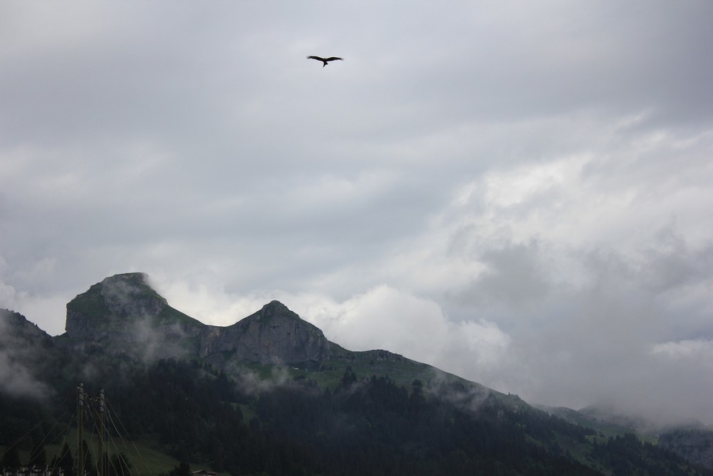 Village Camps International Summer Camp Leysin, Switzerland 2025-08-09 https://www.villagecamps.com/journals_admin/images/2376-0742-IMG_5134.jpg