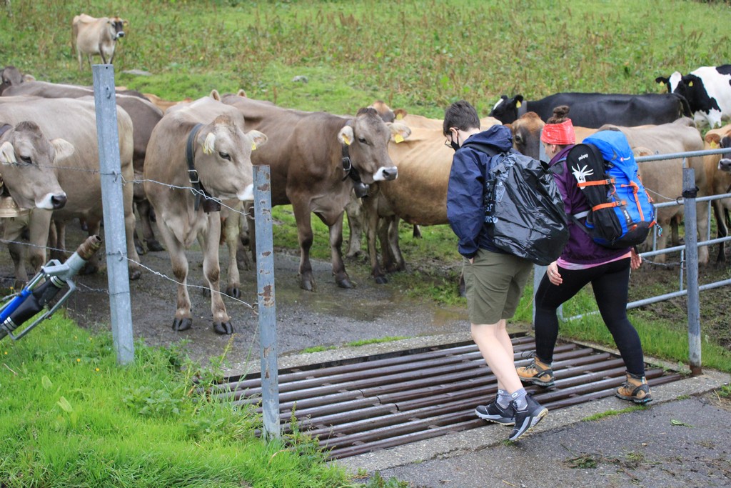 Village Camps International Summer Camp Leysin, Switzerland 2026-08-06 https://www.villagecamps.com/journals_admin/images/2378-5013-IMG_5614.jpg
