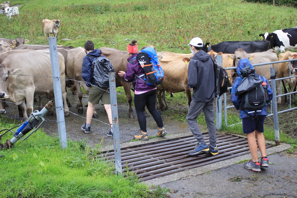 Village Camps International Summer Camp Leysin, Switzerland 2026-08-15 https://www.villagecamps.com/journals_admin/images/2378-5014-IMG_5615.jpg Village Camps International Summer Camp Leysin, Switzerland 2026-08-15 https://www.villagecamps.com/journals_admin/images/2378-5014-IMG_5615.jpg