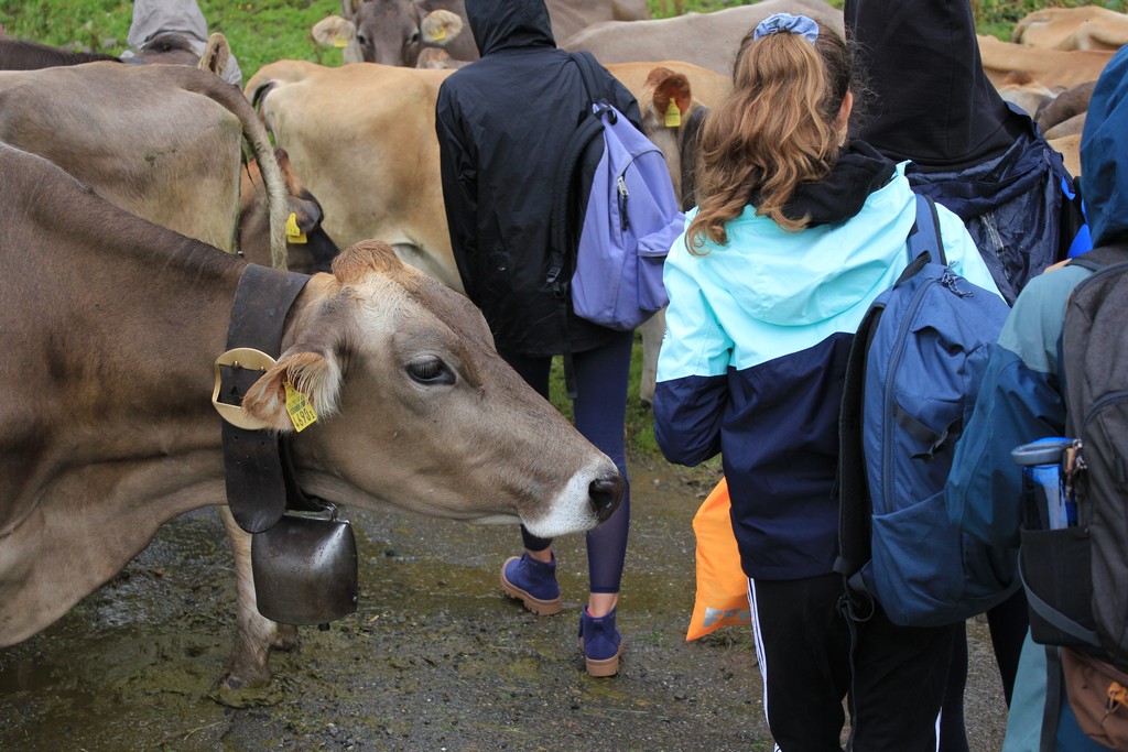 Village Camps International Summer Camp Leysin, Switzerland 2025-08-09 https://www.villagecamps.com/journals_admin/images/2378-5018-IMG_5630.jpg