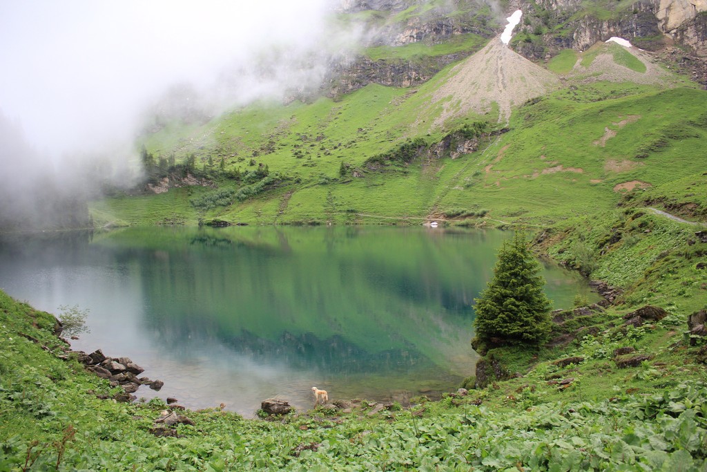 Village Camps International Summer Camp Leysin, Switzerland 2025-08-09 https://www.villagecamps.com/journals_admin/images/2378-5077-IMG_5752.jpg