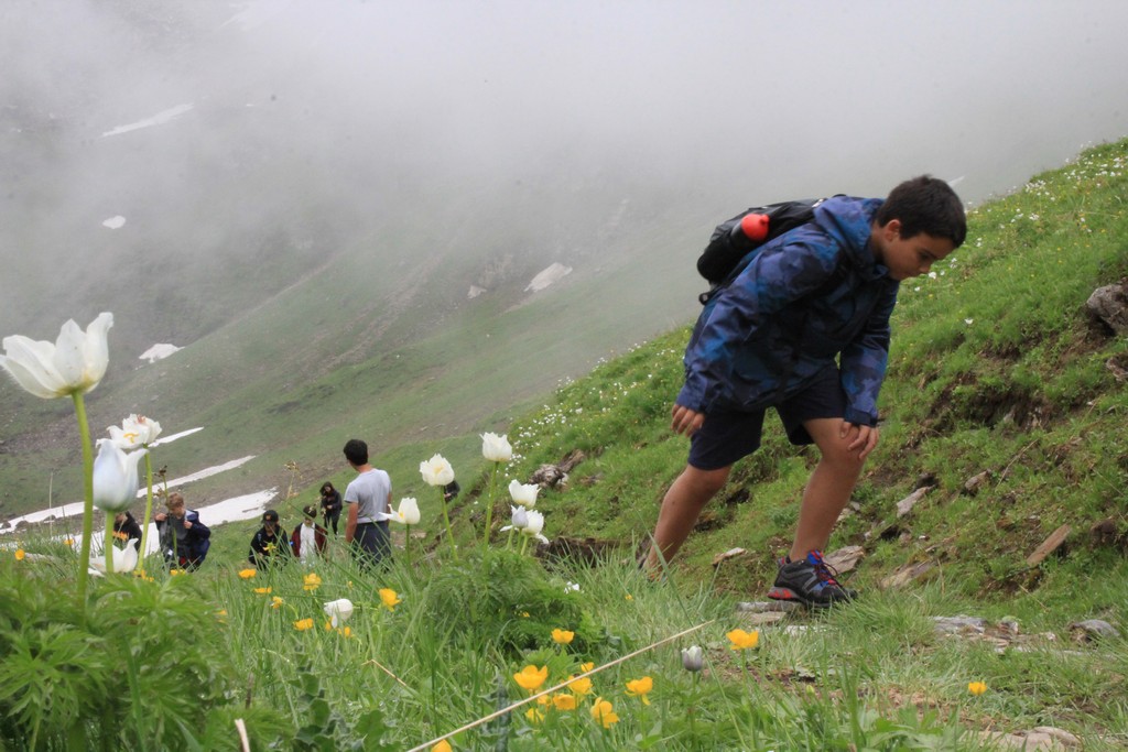 Village Camps International Summer Camp Leysin, Switzerland 2025-08-09 https://www.villagecamps.com/journals_admin/images/2378-5111-IMG_5843.jpg