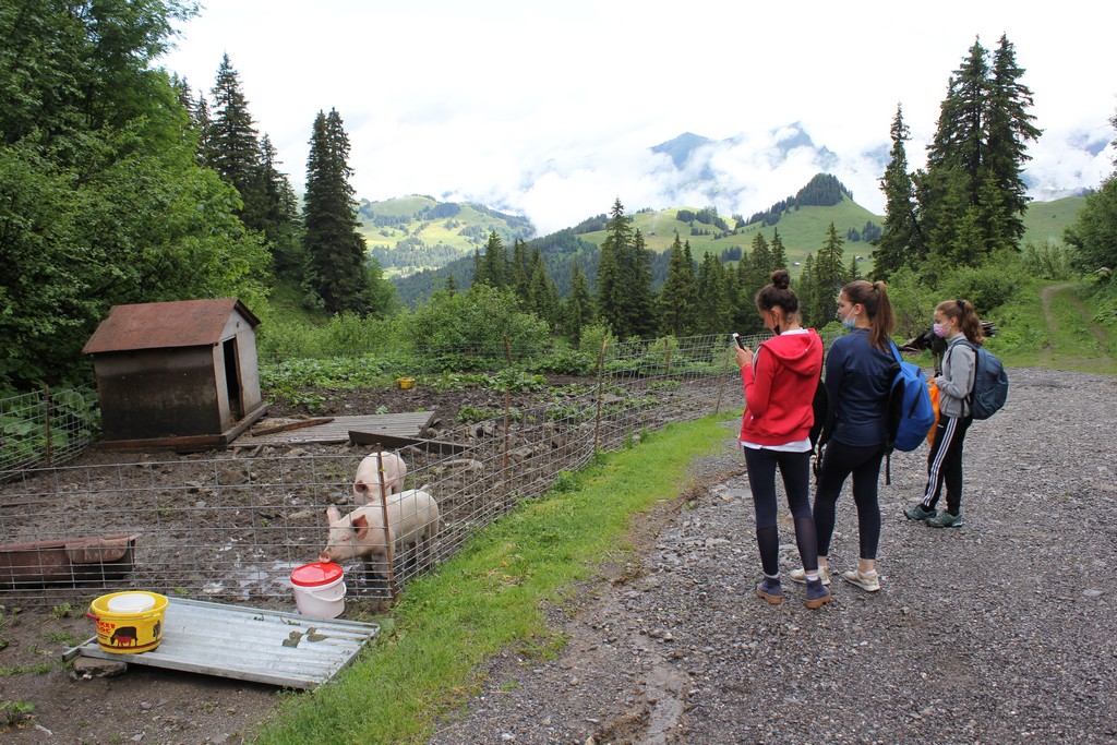 Village Camps International Summer Camp Leysin, Switzerland 2025-08-09 https://www.villagecamps.com/journals_admin/images/2378-5173-IMG_6121.jpg