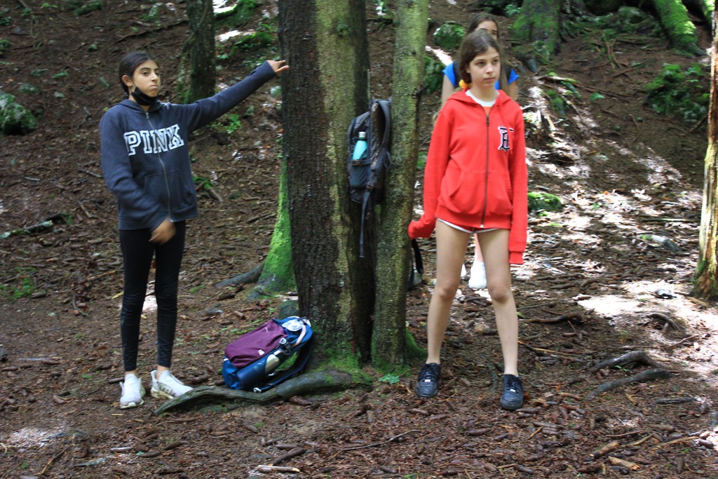 Village Camps International Summer Camp Leysin, Switzerland 2025-08-09 https://www.villagecamps.com/journals_admin/images/2379-0675-IMG_6355.jpg