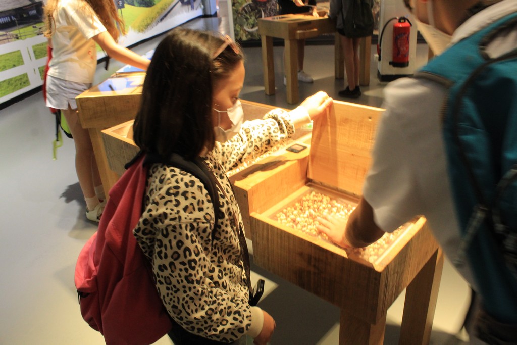 Village Camps International Summer Camp Leysin, Switzerland 2025-08-09 https://www.villagecamps.com/journals_admin/images/2380-5251-IMG_1522.jpg