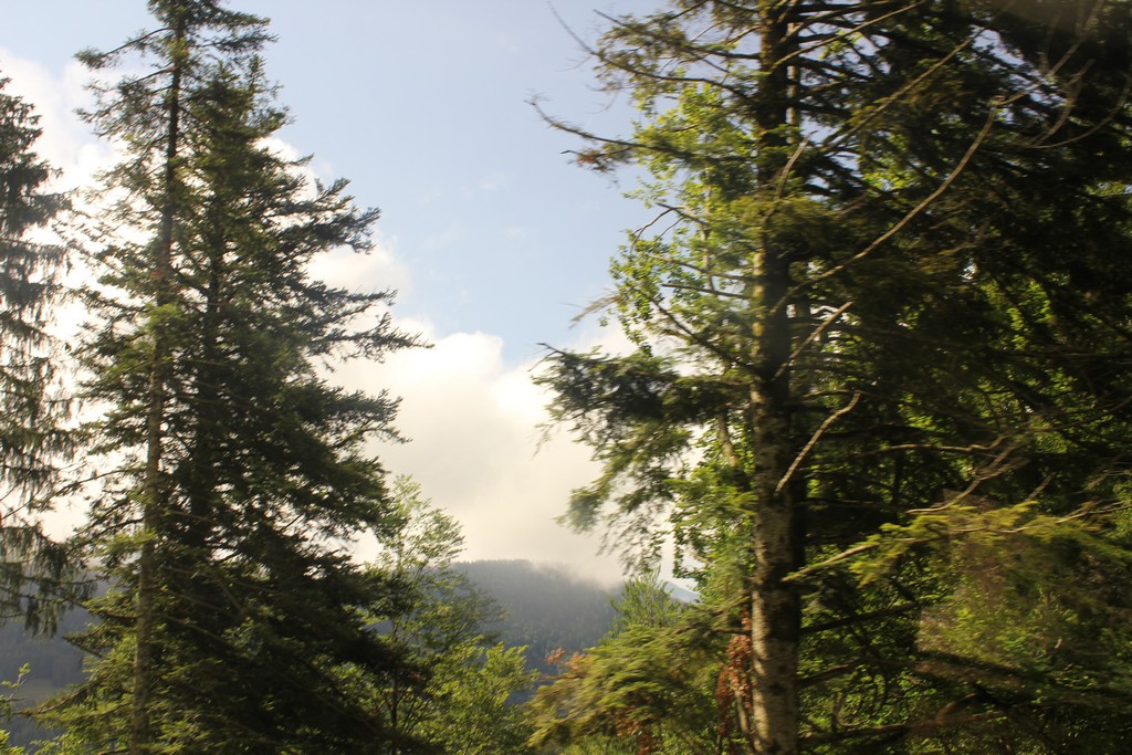 Village Camps International Summer Camp Leysin, Switzerland 2025-08-09 https://www.villagecamps.com/journals_admin/images/2381-4448-IMG_6985.jpg