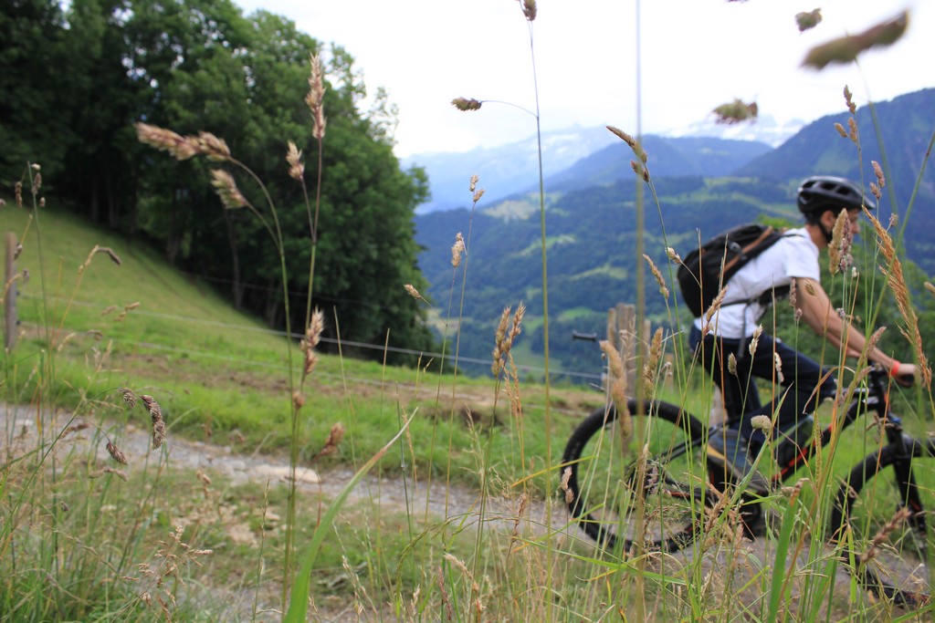 Village Camps International Summer Camp Leysin, Switzerland 2025-08-09 https://www.villagecamps.com/journals_admin/images/2382-9214-IMG_7440.jpg