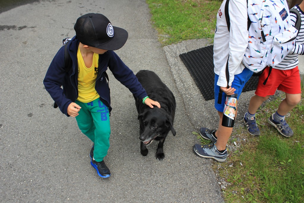 Village Camps International Summer Camp Leysin, Switzerland 2025-08-09 https://www.villagecamps.com/journals_admin/images/2382-9247-IMG_7525.jpg
