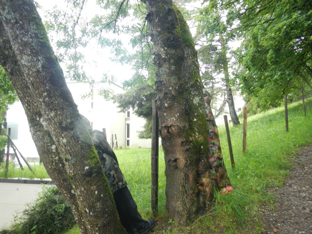 Village Camps International Summer Camp Leysin, Switzerland 2025-08-09 https://www.villagecamps.com/journals_admin/images/2385-0763-DSCN4140.jpg