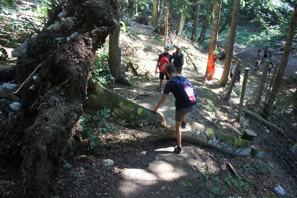 Village Camps International Summer Camp Leysin, Switzerland 2025-08-09 https://www.villagecamps.com/journals_admin/images/2390-3770-IMG_0382.jpg Village Camps International Summer Camp Leysin, Switzerland 2025-08-09 https://www.villagecamps.com/journals_admin/images/2390-3770-IMG_0382.jpg