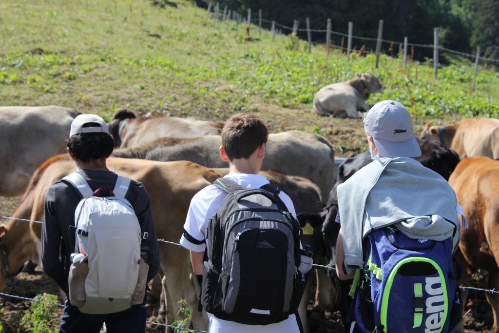 Village Camps International Summer Camp Leysin, Switzerland 2026-08-15 https://www.villagecamps.com/journals_admin/images/2392-8263-IMG_0846.jpg