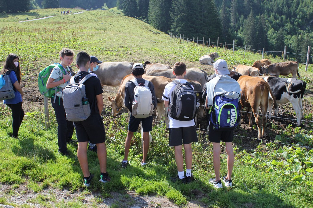 Village Camps International Summer Camp Leysin, Switzerland 2026-07-27 https://www.villagecamps.com/journals_admin/images/2392-8265-IMG_0845.jpg Village Camps International Summer Camp Leysin, Switzerland 2026-07-27 https://www.villagecamps.com/journals_admin/images/2392-8265-IMG_0845.jpg