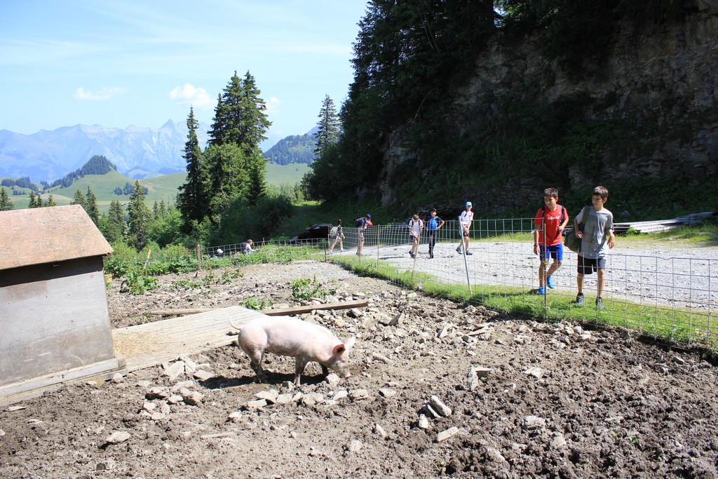 Village Camps International Summer Camp Leysin, Switzerland 2026-08-15 https://www.villagecamps.com/journals_admin/images/2392-8281-IMG_0883.jpg Village Camps International Summer Camp Leysin, Switzerland 2026-08-15 https://www.villagecamps.com/journals_admin/images/2392-8281-IMG_0883.jpg