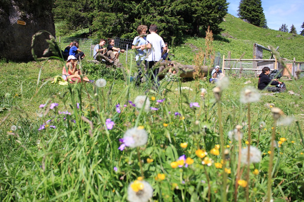Village Camps International Summer Camp Leysin, Switzerland 2025-08-09 https://www.villagecamps.com/journals_admin/images/2392-8291-IMG_0899.jpg
