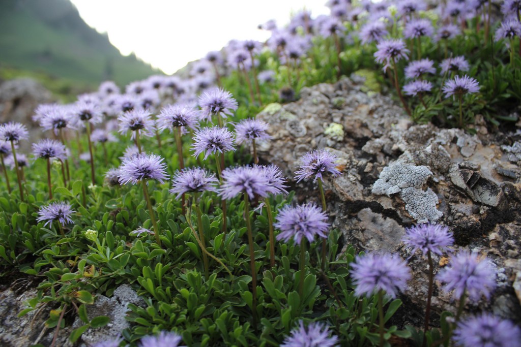 Village Camps International Summer Camp Leysin, Switzerland 2026-08-07 https://www.villagecamps.com/journals_admin/images/2392-8465-IMG_1324.jpg