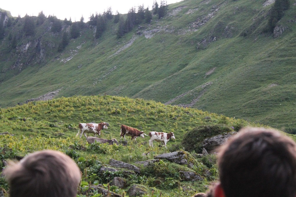 Village Camps International Summer Camp Leysin, Switzerland 2025-08-09 https://www.villagecamps.com/journals_admin/images/2435-5560-IMG_1092.jpg