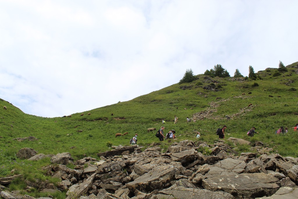 Village Camps International Summer Camp Leysin, Switzerland 2026-08-15 https://www.villagecamps.com/journals_admin/images/2440-8364-IMG_4572.jpg