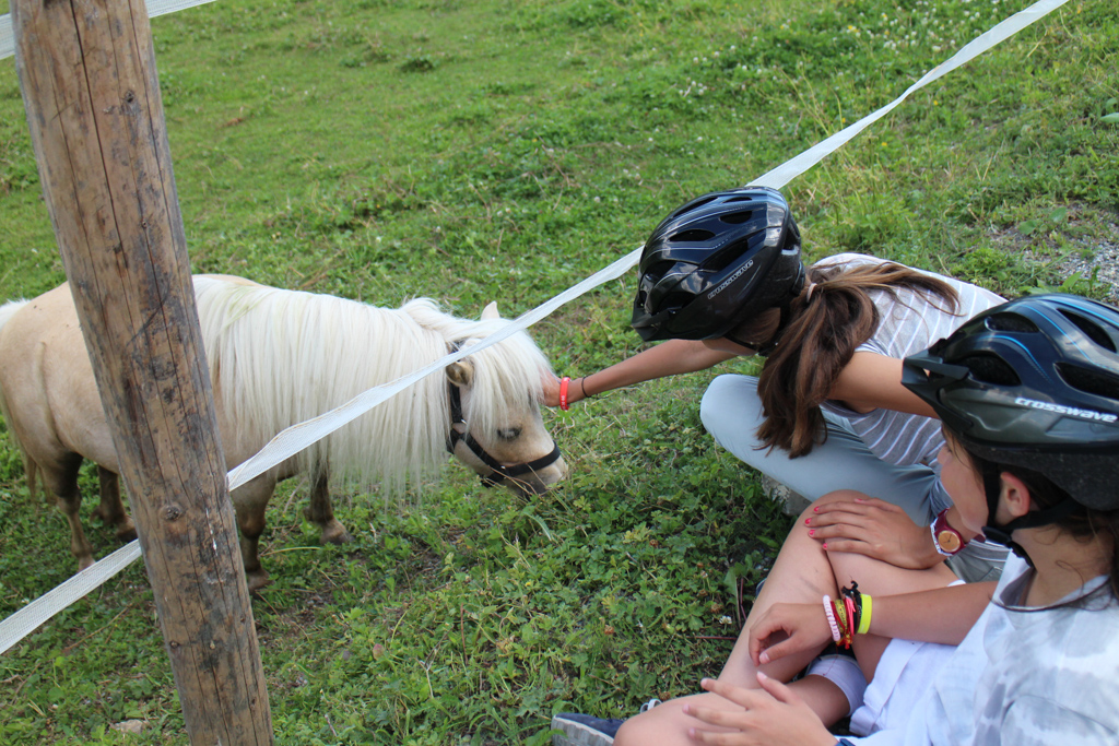 Village Camps International Summer Camp Leysin, Switzerland 2026-08-15 https://www.villagecamps.com/journals_admin/images/2477-8690-IMG_6987.jpg