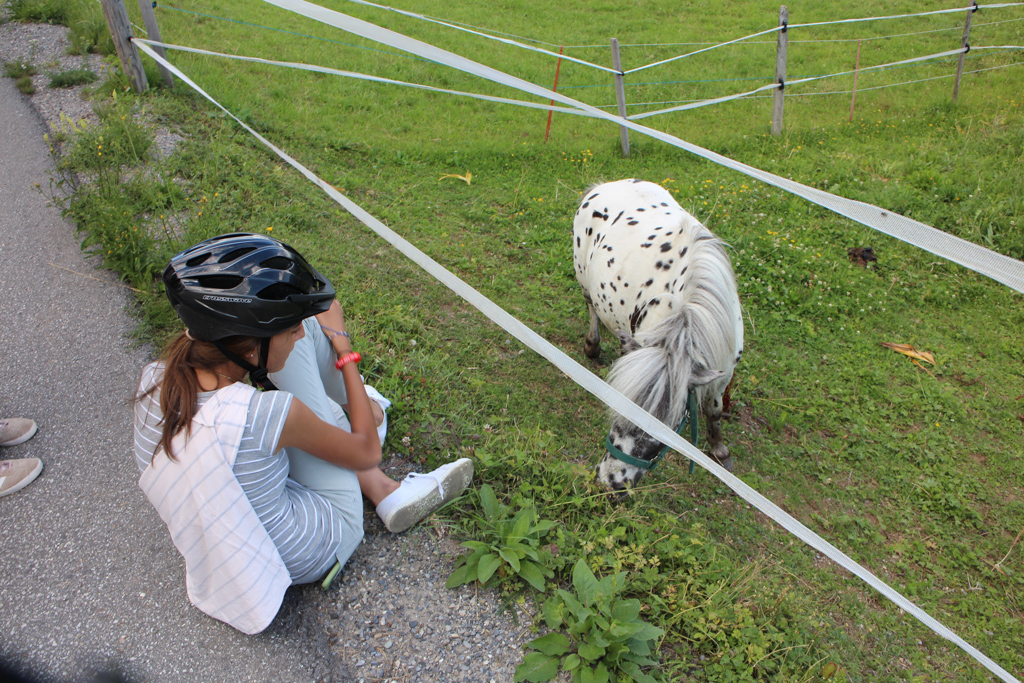 Village Camps International Summer Camp Leysin, Switzerland 2025-08-09 https://www.villagecamps.com/journals_admin/images/2477-8693-IMG_6974.jpg Village Camps International Summer Camp Leysin, Switzerland 2025-08-09 https://www.villagecamps.com/journals_admin/images/2477-8693-IMG_6974.jpg