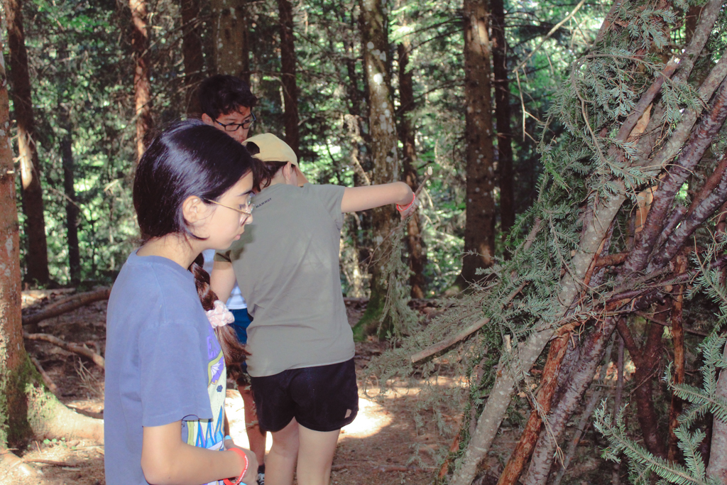 Village Camps International Summer Camp Leysin, Switzerland 2025-08-09 https://www.villagecamps.com/journals_admin/images/2490-0595-IMG_0329.jpg