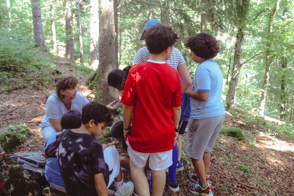 Village Camps International Summer Camp Leysin, Switzerland 2025-08-09 https://www.villagecamps.com/journals_admin/images/2492-7008-IMG_0832.jpg